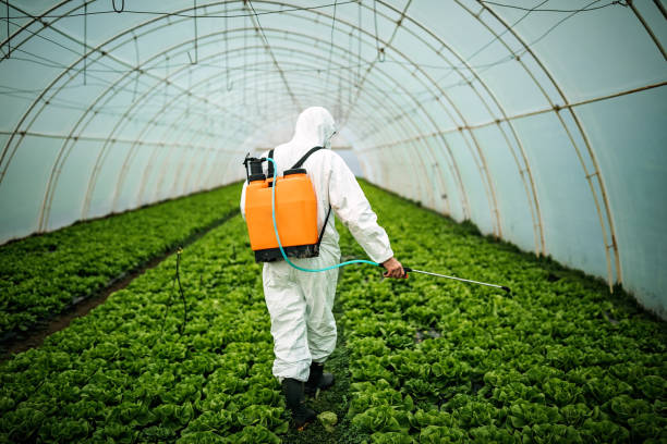 Best Pest Removal Services  in Pimmit Hills, VA
