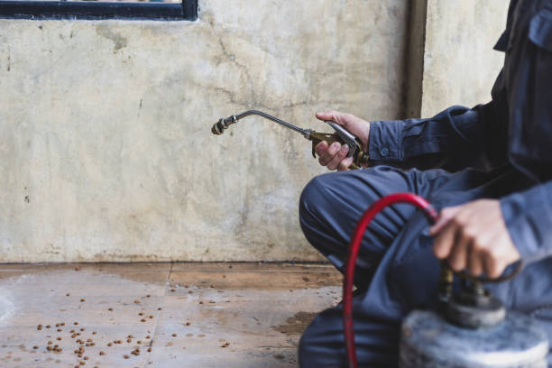 Wasp Removal Services in Pimmit Hills, VA