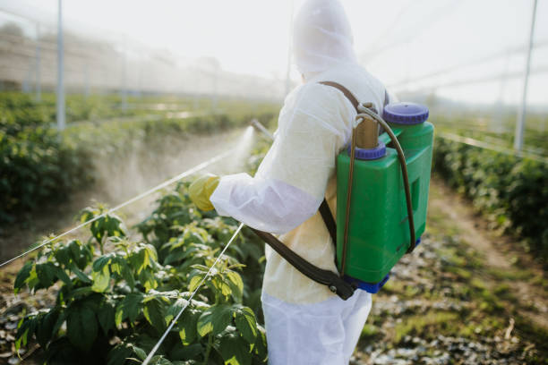 Best Pest Prevention Services  in Pimmit Hills, VA
